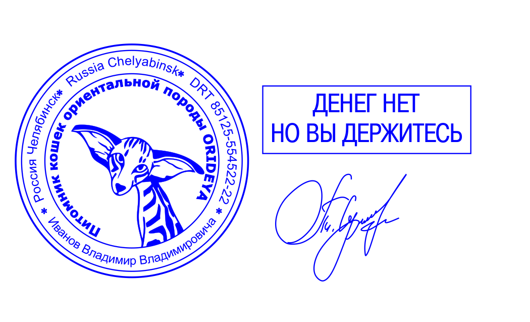 Несколько позиций